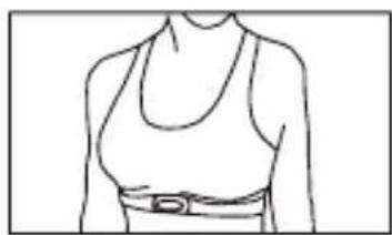 Line drawing of a person wearing a high-collared top and belt (no text or symbols)