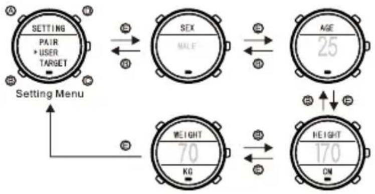 graph TD A["Setting Menu"] --> B["Setting"] B --> C["Gender"] C --> D["Age"] D --> E["Height"] E --> F["Weight"] F --> G["Height"] style A fill:#f9f,stroke:#333 style B fill:#ccf,stroke:#333 style C fill:#cfc,stroke:#333 style D fill:#fcc,stroke:#333 style E fill:#cff,stroke:#333 style F fill:#ffc,s…