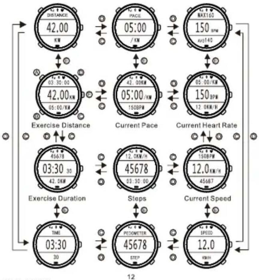 SBS Beat GPS - VISUALIZAÇÃO EM TEMPO REAL EXERCÍCIO DATA - 1
