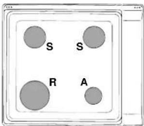 S S, R A