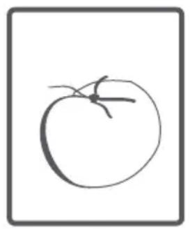 Simple line drawing of a tomato (no text or symbols)