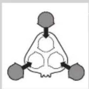 graph TD A["Input Node"] --> B{Process Step} B --> C["Output Node"] B --> D["Output Node"] B --> E["Output Node"]