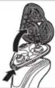 Illustration of a human head with a spiral pattern and an arrow indicating direction (no text or symbols).