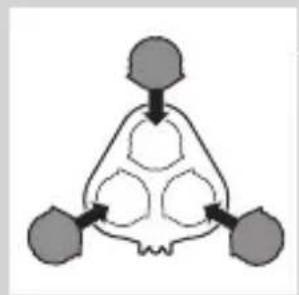 graph TD A["Input Node 1"] --> C["Processing Node"] B["Input Node 2"] --> C D["Input Node 3"] --> C C --> E["Output Node 1"] C --> F["Output Node 2"] C --> G["Output Node 3"]