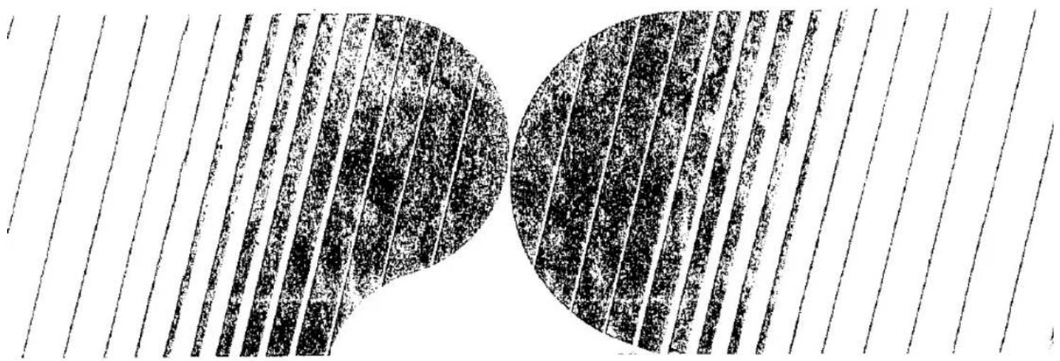 Motif abstrait en noir et blanc avec deux formes circulaires qui se chevauchent, sans texte ni symbole.