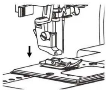 AEG 11680 - ABNEHMEN UND ANBRINGEN DES NÄHFUßSCHAFTES / HOW TO REMOVE AND ATTACH THE SHANK Heben Sie den Nähfuß an. - 2