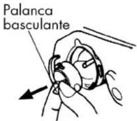 Palanca basculante