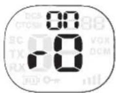 80 80