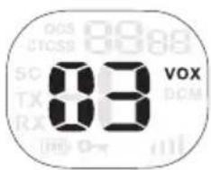 88 VOX DCM
