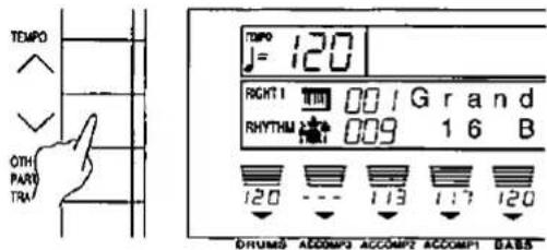TEMP0 J= 120 RIGHT 1 001 Grand RHYTHU 009 16 B 120 --- 113 117 120 DRUMS ACCOMP3 ACCOMP2 ACCOMP1 BASIS