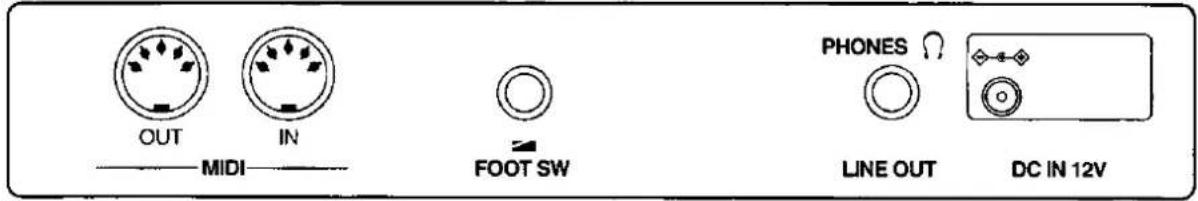 OUT IN MIDI FOOT SW PHONES LINE OUT DC IN 12V