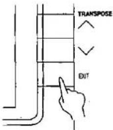 TRANSPOSE EXIT