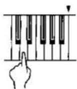 TECHNICS SX-KN930 - How to use the AUTO PLAY CHORD - 3