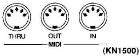 THRU OUT IN MIDI (KN1500)