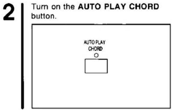 2 Turn on the AUTO PLAY CHORD button. AUTO PLAY CHORD O