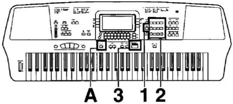 A 3 1 2