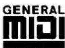 TECHNICS SX-KN920 - GENERAL MIDI - 1