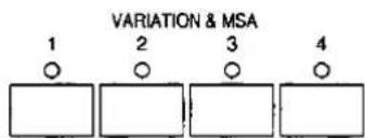 VARIATION & MSA 1 2 3 4