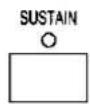 TECHNICS SX-KN920 - SUSTAIN - 1