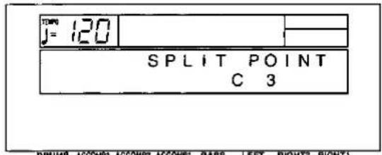 J= 120 SPLIT POINT C 3