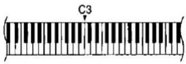 C3