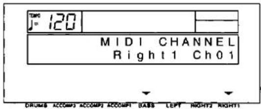 TANG J = 120 MIDI CHANNEL Right1 Ch01 DRUM8 ACCOMP3 ACCOMP2 ACCOMP1 BASS LEFT RIGHT2 RIGHT1