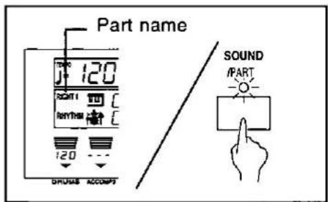 Part name 120 ACATTI C RayTha C 120 DRUMB ACCOMP3 SOUND /PART