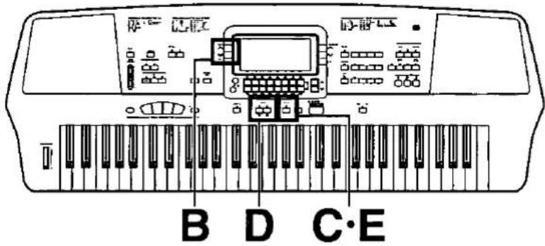 B D C·E