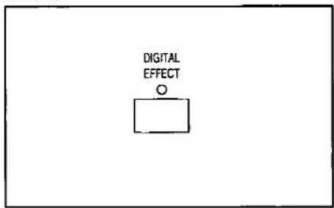 DIGITAL EFFECT O