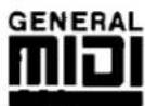 TECHNICS SX-KN5000 - GENERAL MIDI - 1