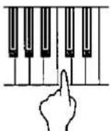 TECHNICS SX-KN5000 - ONE FINGER mode - 1