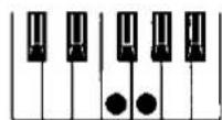 TECHNICS SX-KN5000 - Automatic panel settings (ONE TOUCH PLAY) - 11