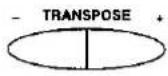 TECHNICS SX-KN5000 - Transpose - 2
