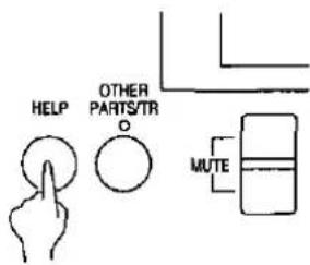 HELP OTHER PARTS/TR MUTE