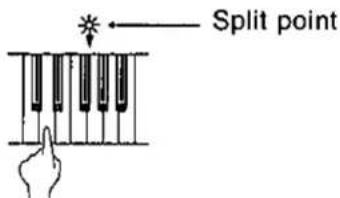 Split point