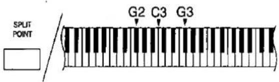 SPLIT POINT G2 C3 G3