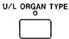 TECHNICS SX-G100W - Organ type - 1