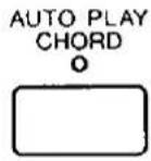 TECHNICS SX-G100W - How the use the AUTO PLAY CHORD - 1