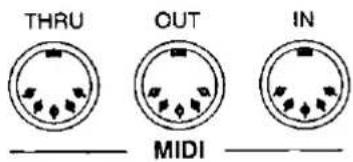 THRU OUT IN MIDI