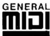 TECHNICS SX-G100W - GENERAL MIDI - 1