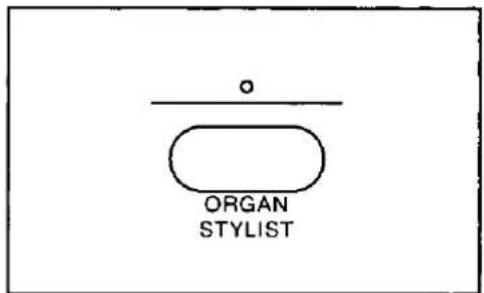 ORGAN STYLIST