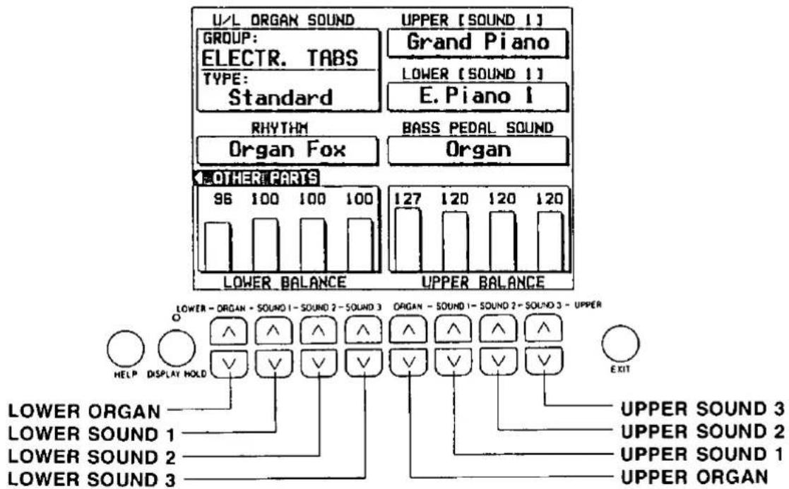 U/L ORGAN SOUND GROUP: ELECTR. TABS TYPE: Standard UPPER [SOUND 1] Grand Piano LOWER [SOUND 1] E. Piano 1 RHYTHM Organ Fox BASS PEDAL SOUND Organ OTHER PARTS 96 100 100 100 LOWER BALANCE 127 120 120 120 120 UPPER BALANCE LOWER - ORGAN - SOUND 1 - SOUND 2 - SOUND 3 ORGAN - SOUND 1 - SOUND 2 - SOUND 3 - UPPER HELP DISPLAY HOLD V V V V V EXIT LOWER ORGAN LOWER SOUND 1 LOWER SOUND 2 LOWER SOUND 3 UPPER SOUND 3 UPPER SOUND 2 UPPER SOUND 1 UPPER ORGAN