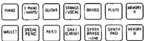 PIANO E PIANO / HARPSI GUITAR STRINGS / VOCAL BRASS FLUTE MEMORY A Mallet SPECIAL PERC REED SAX / CLARINET SYNTH BRASS / LEAD SYNTH PAD MEMORY B