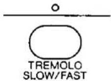 TECHNICS SX-G100W - TREMOLO SLOW/FAST - 1