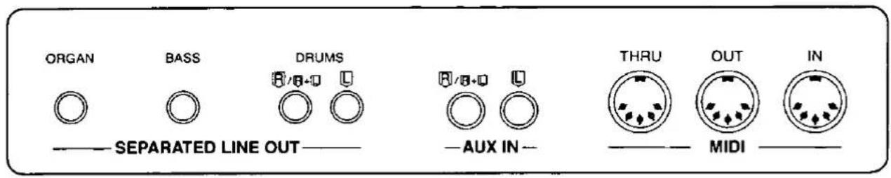 ORGAN BASS DRUMS —— SEPARATED LINE OUT—— —— AUX IN—— THRU OUT IN —— MIDI ———