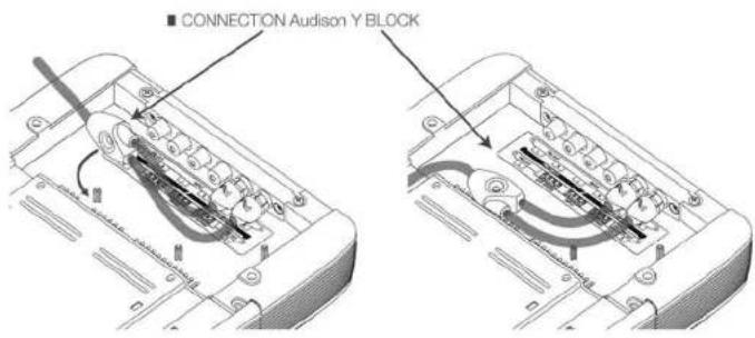 ■ CONNECTION AUDISON Y BLOCK
