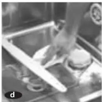 Close-up of hands cleaning food items in a kitchen (no visible text or symbols).