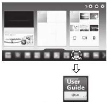 User Guide LSE