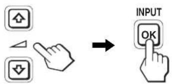 INPUT OK