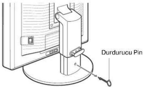 Durdurucu Pin